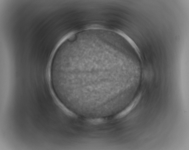 X0000113640957200910091534