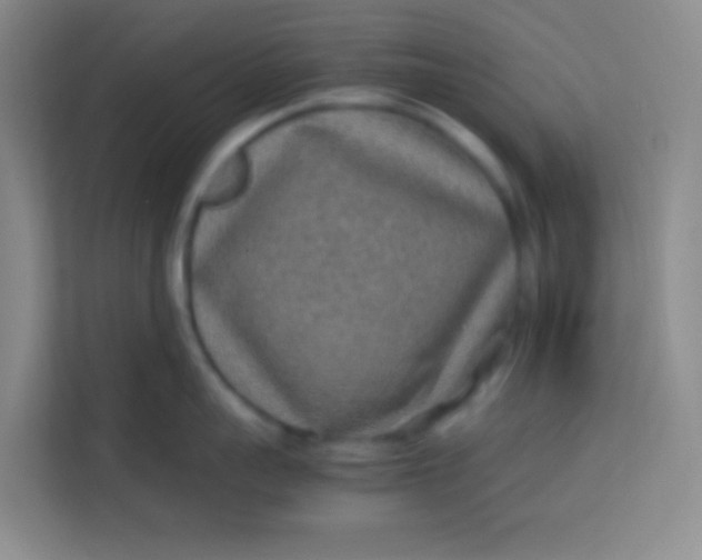 X0000113640959200910091534