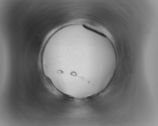 X0000113640960200910091534