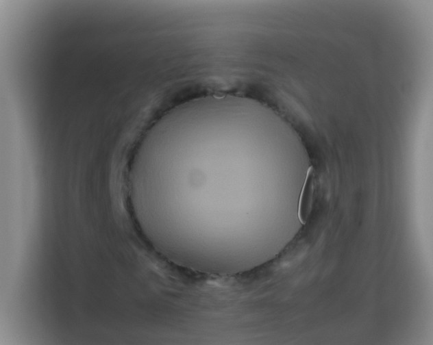 X0000113640961200910091533