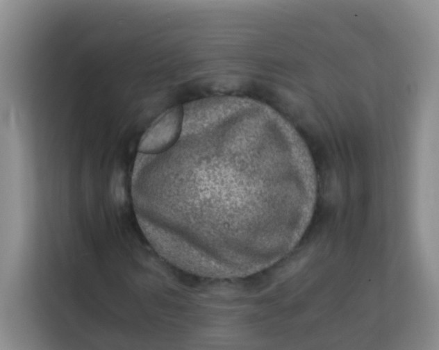 X0000113640962200910091533