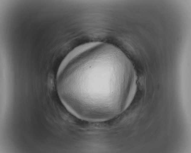 X0000113640963200910091533