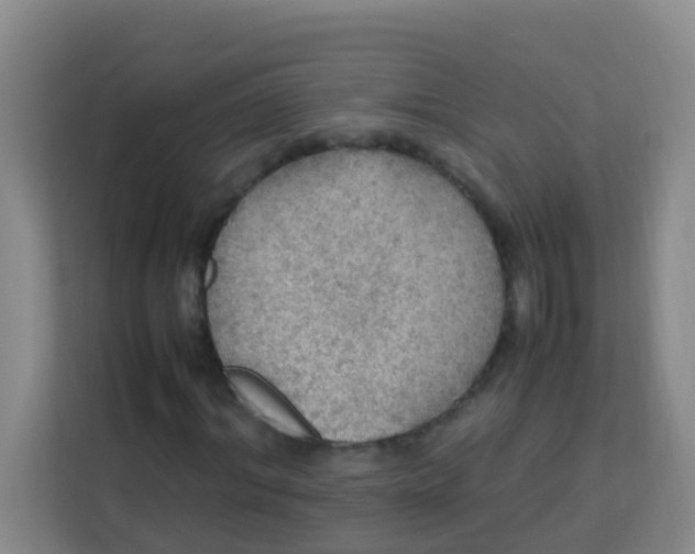 X0000113640964200910091533