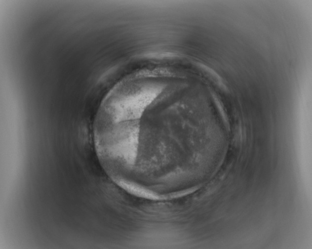 X0000113640966200910091533