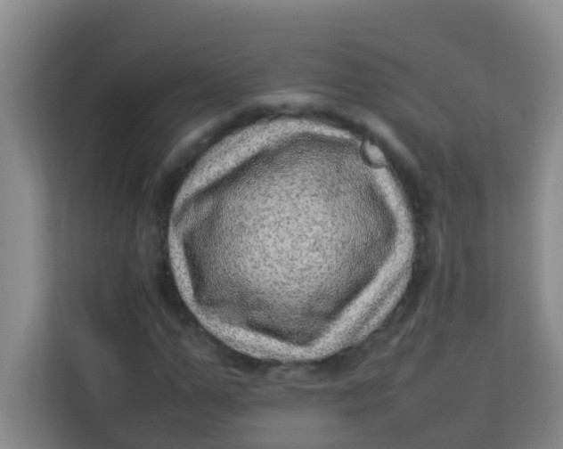 X0000113640967200910091533