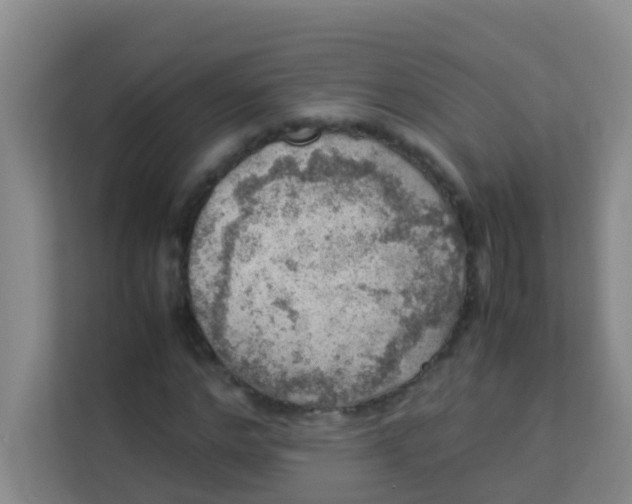 X0000113640968200910091533