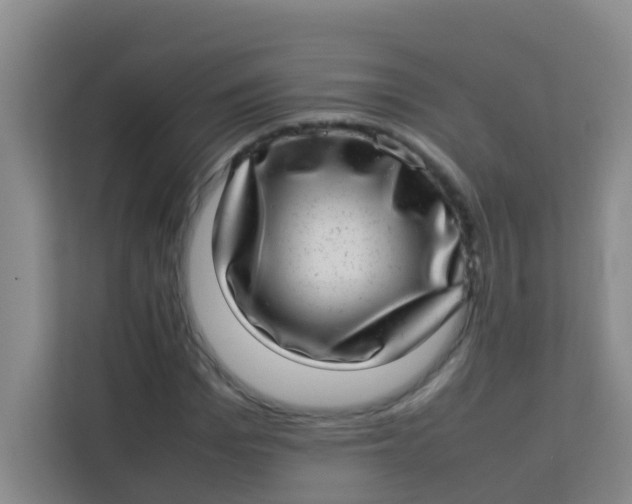 X0000113640969200910091533