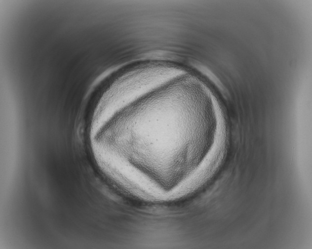 X0000113640971200910091533