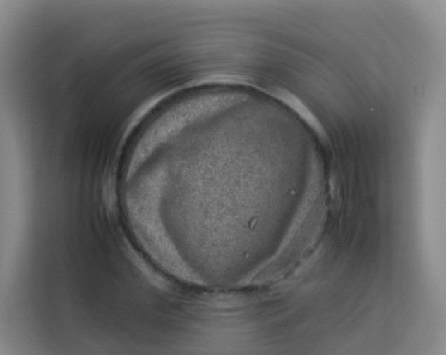 X0000113640972200910091533