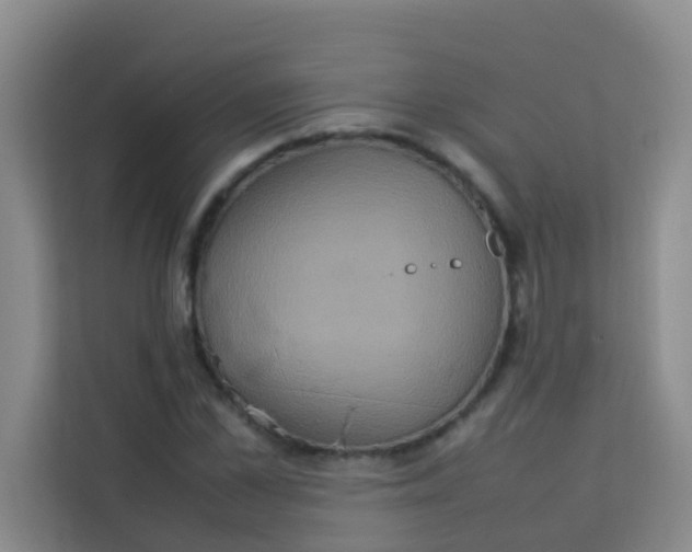 X0000113640973200910091533