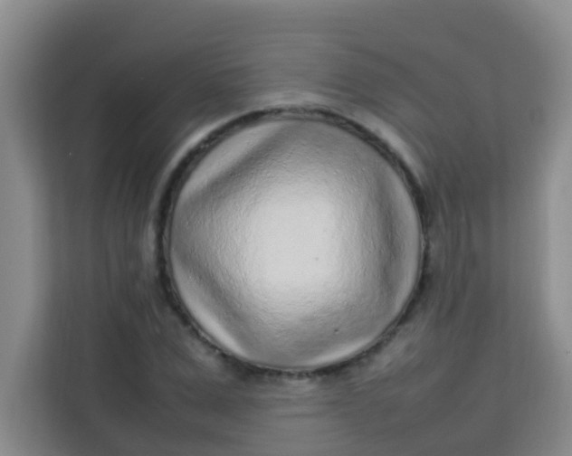 X0000113640975200910091533