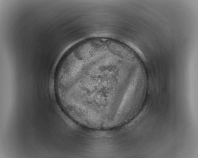 X0000113640976200910091533