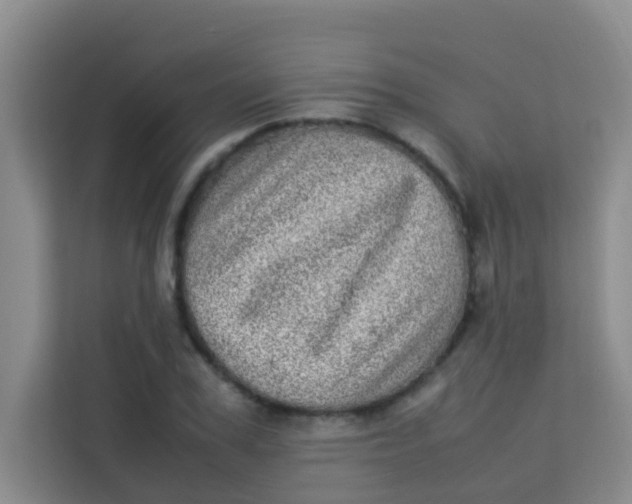 X0000113640979200910091533