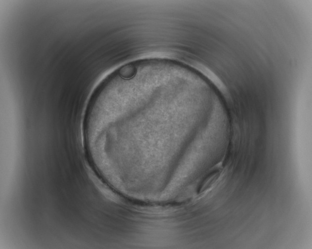 X0000113640980200910091533