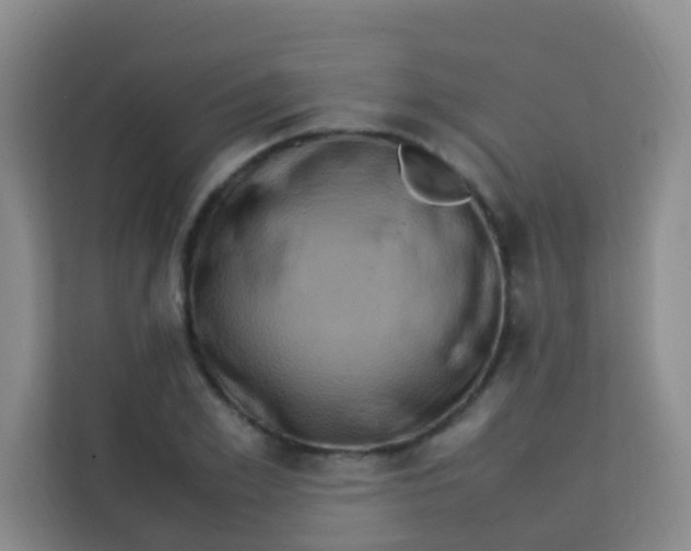 X0000113640981200910091533