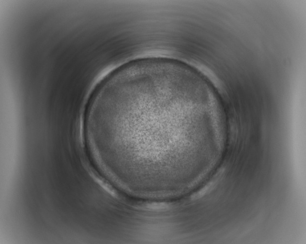 X0000113640982200910091533