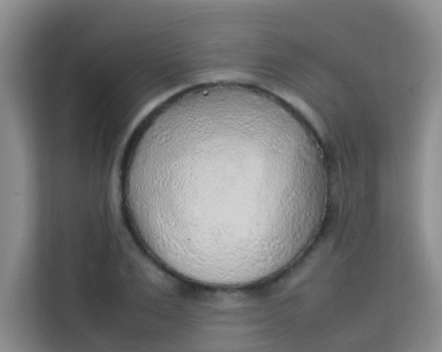 X0000113640983200910091533