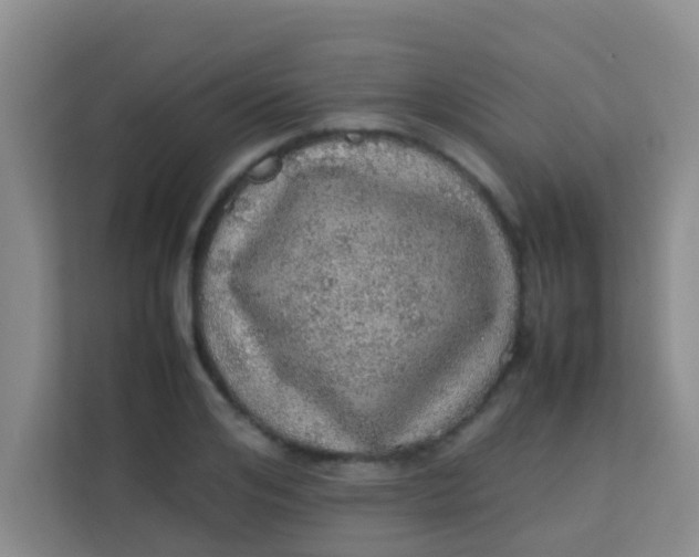 X0000113640984200910091533