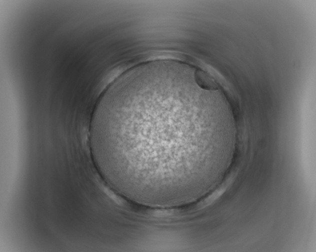 X0000113640985200910091533