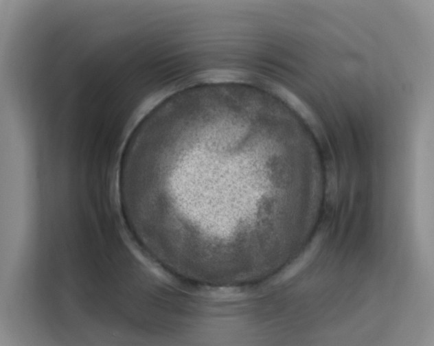 X0000113640986200910091533