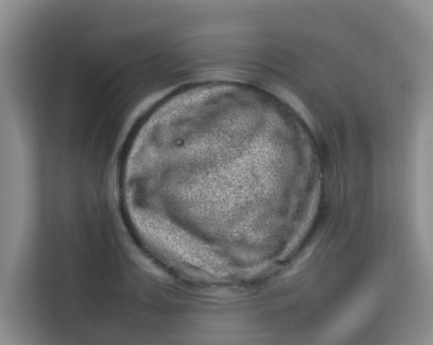 X0000113640987200910091533