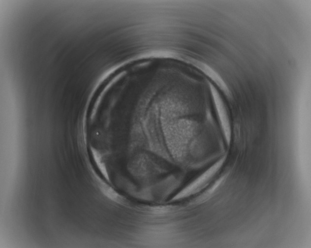 X0000113640988200910091533