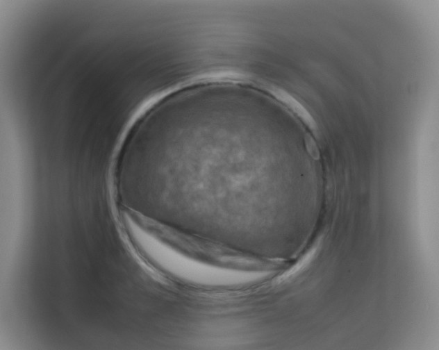 X0000113640989200910091533