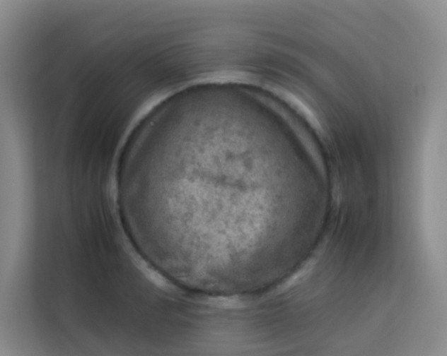 X0000113640990200910091533