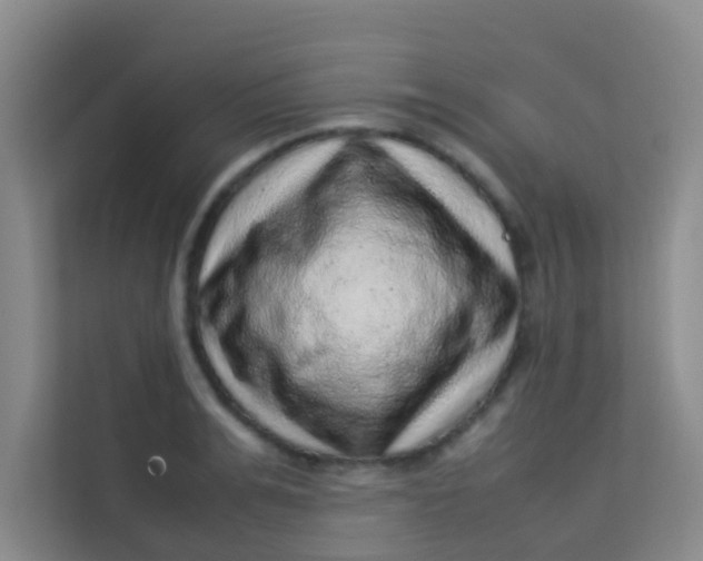 X0000113640991200910091533