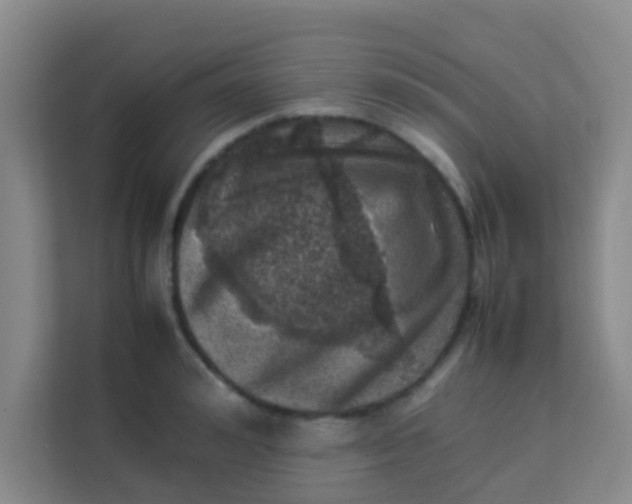 X0000113640992200910091533