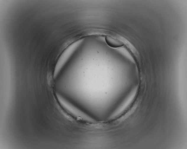 X0000113640993200910091533