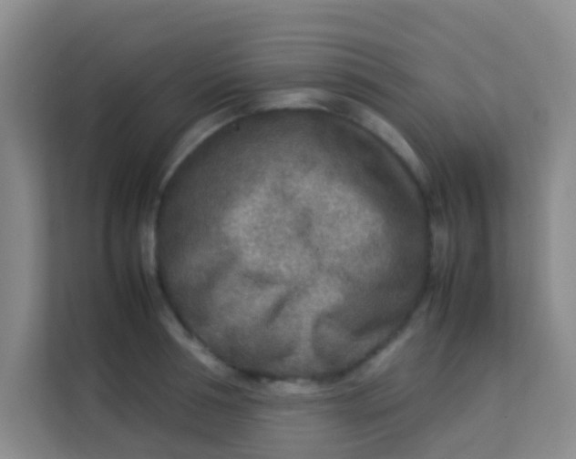 X0000113640994200910091533