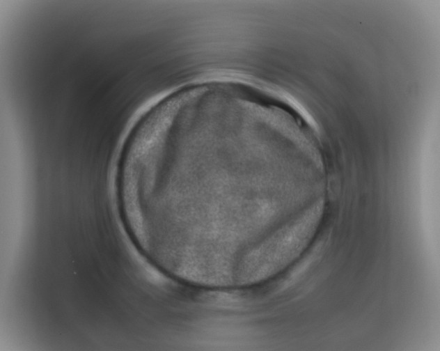 X0000113640995200910091533