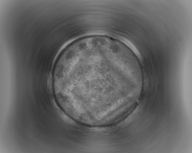 X0000113640996200910091533