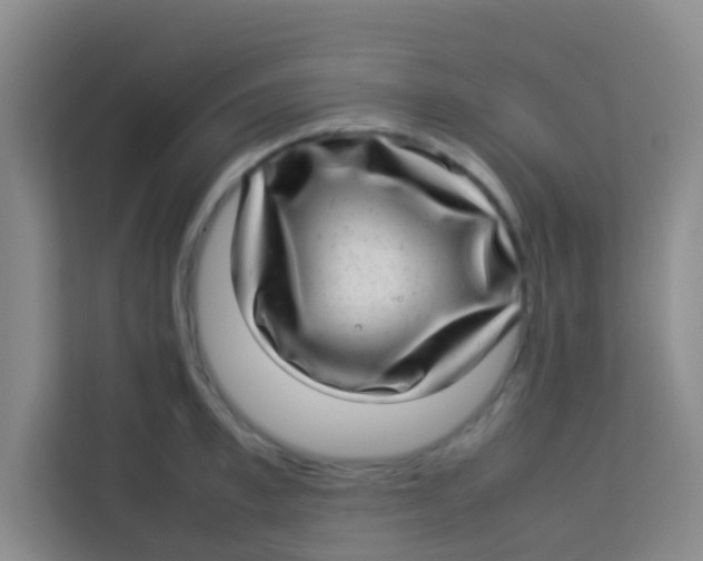 X0000113640997200910091533