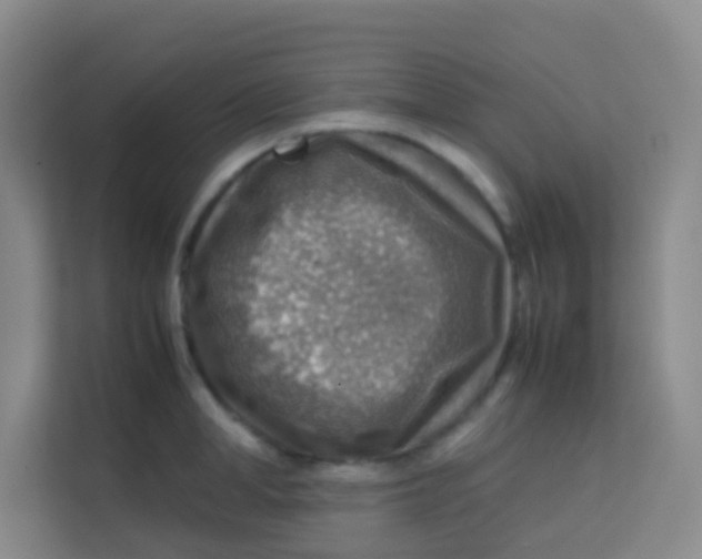 X0000113640998200910091533