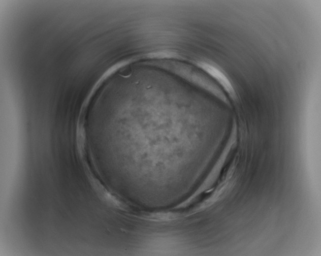 X0000113641000200910091533