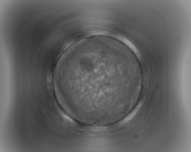 X0000113641001200910091533