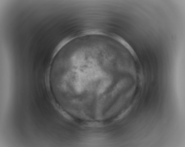 X0000113641002200910091533