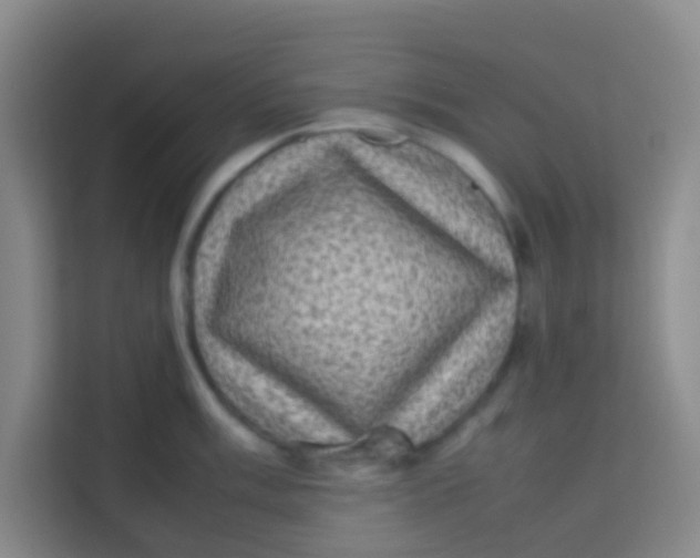 X0000113641003200910091533