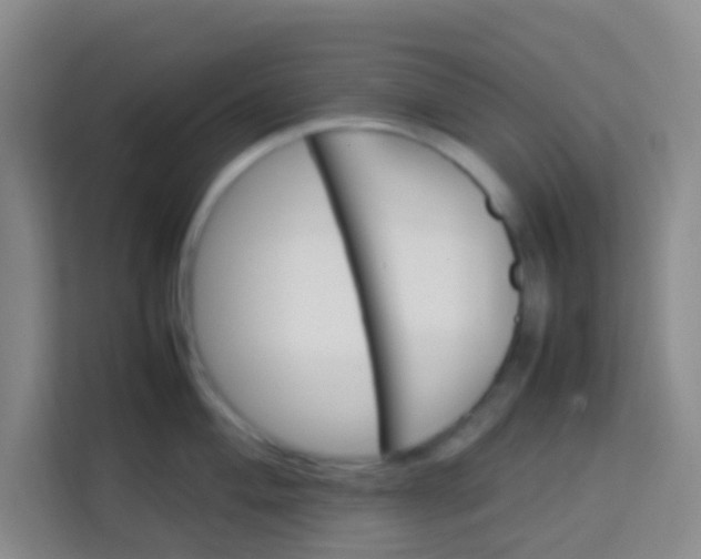 X0000113641004200910091533