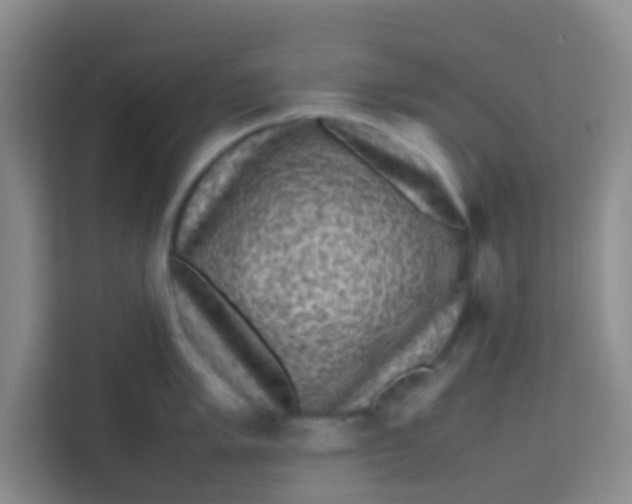 X0000113641005200910091533