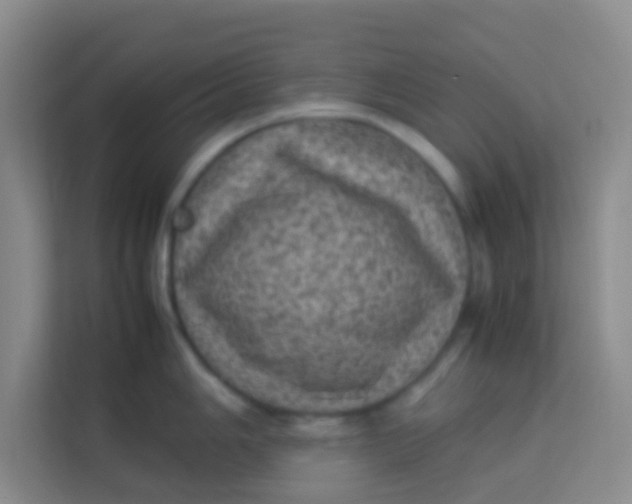 X0000113641006200910091533