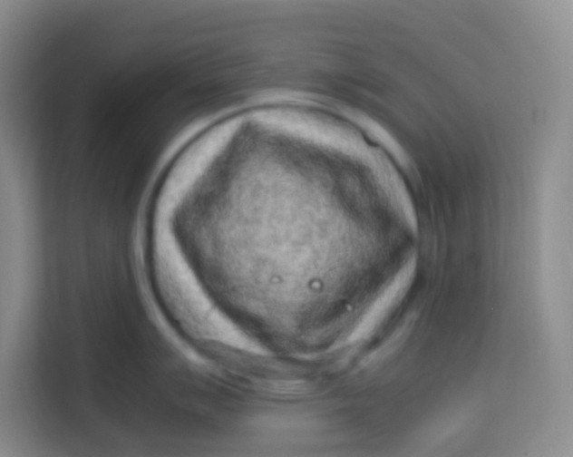 X0000113641007200910091533