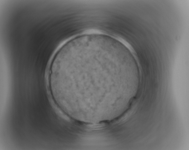 X0000113641008200910091533