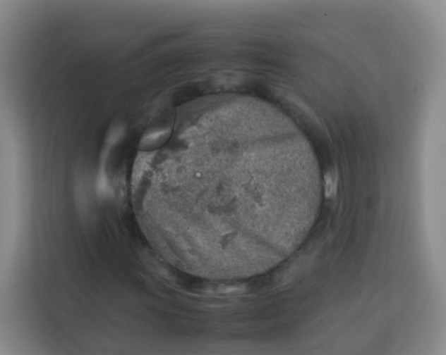 X0000113641011200910091532