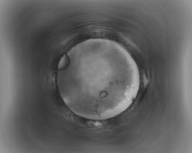 X0000113641013200910091532