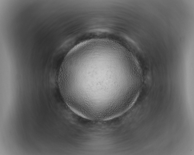 X0000113641014200910091532