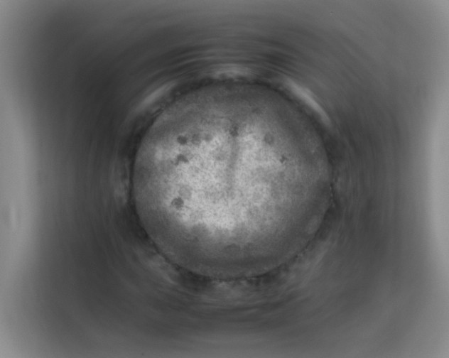 X0000113641015200910091532