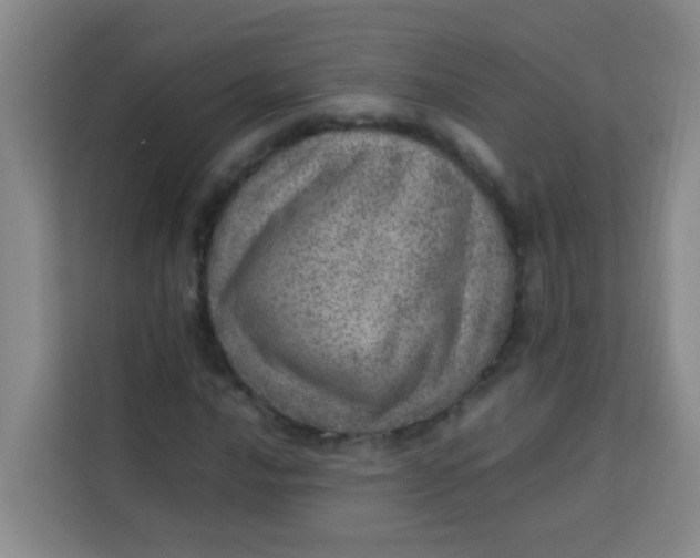 X0000113641016200910091532